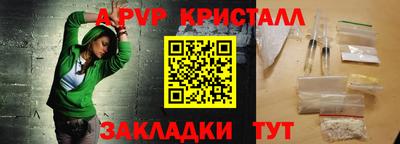 амф Кингисепп