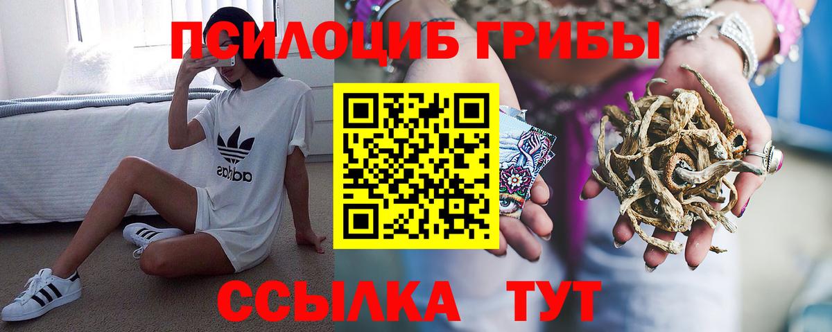 Псилоцибиновые грибы прущие грибы  Вход с VPN  Гусиноозёрск 